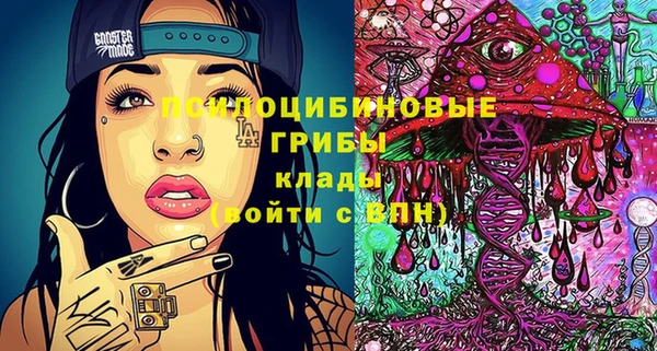 прущий лед Белокуриха