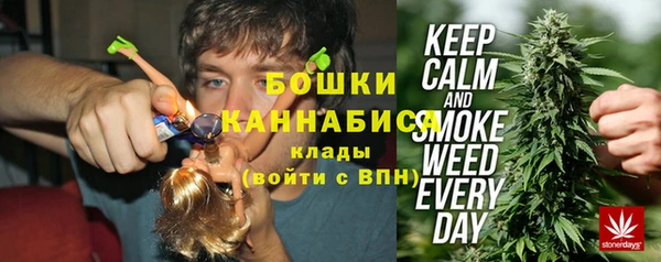 гидра Белоозёрский