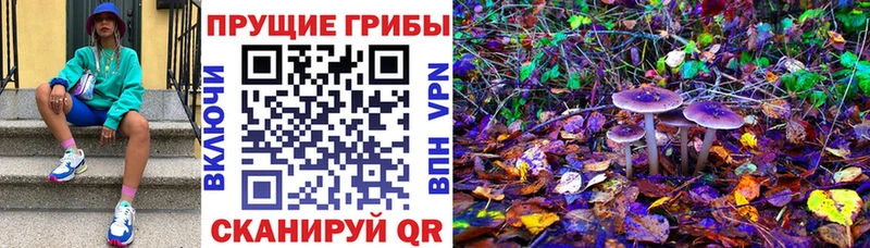 Галлюциногенные грибы MAGIC MUSHROOMS  Горно-Алтайск 