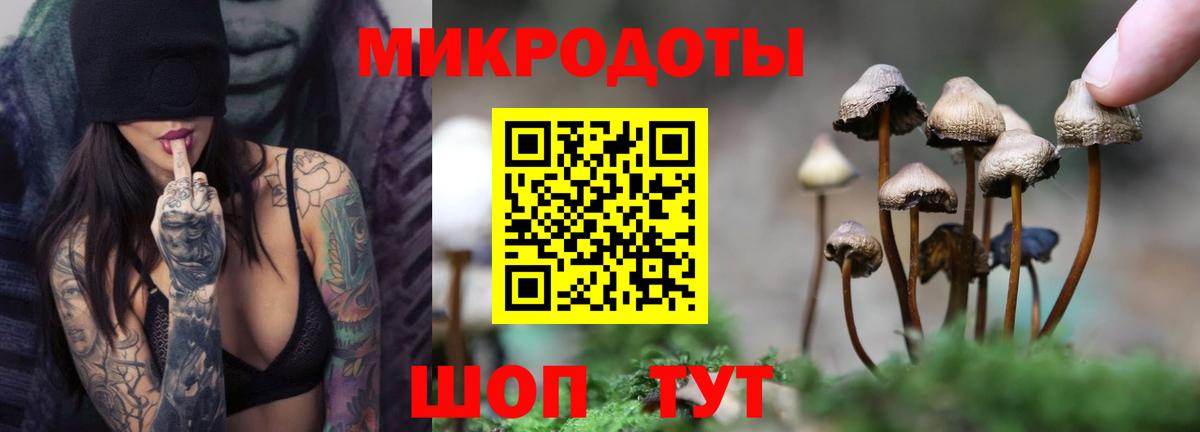 Горно-Алтайск  Галлюциногенные грибы MAGIC MUSHROOMS  Вход с VPN 